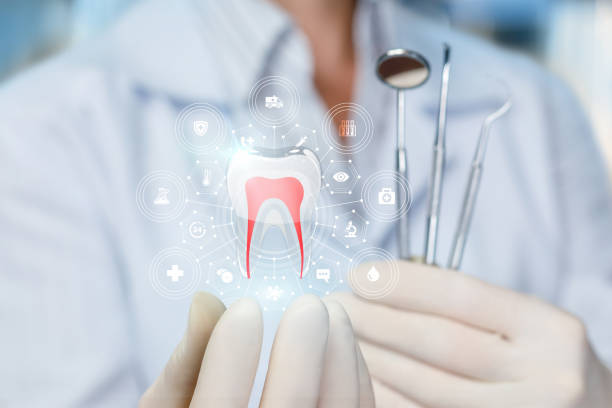 Best Traditional Braces  in Fairview, TX